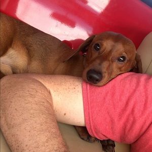 Meet your Posher, Riley